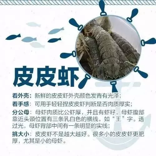 海鲜市场？怎么挑？蒸煮时间？