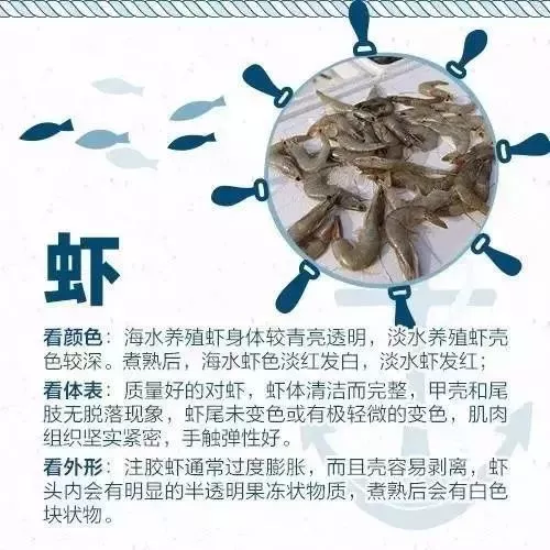 海鲜市场？怎么挑？蒸煮时间？