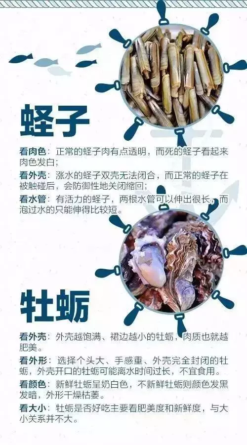 海鲜市场？怎么挑？蒸煮时间？