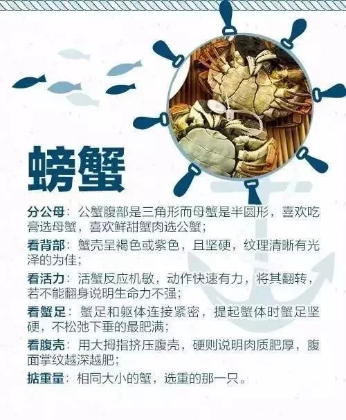 海鲜市场？怎么挑？蒸煮时间？