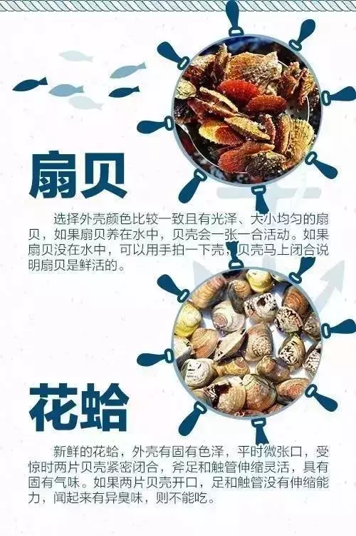 海鲜市场？怎么挑？蒸煮时间？