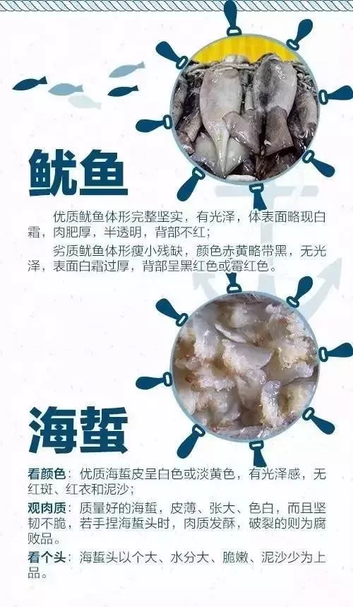 海鲜市场？怎么挑？蒸煮时间？