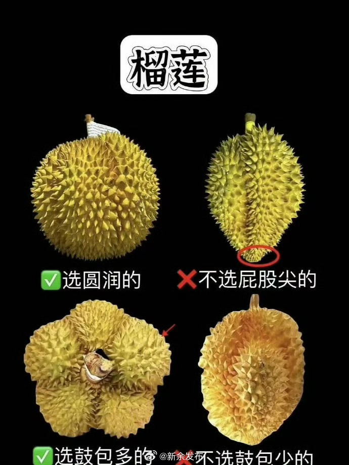 常见水果怎么选，买哪种？