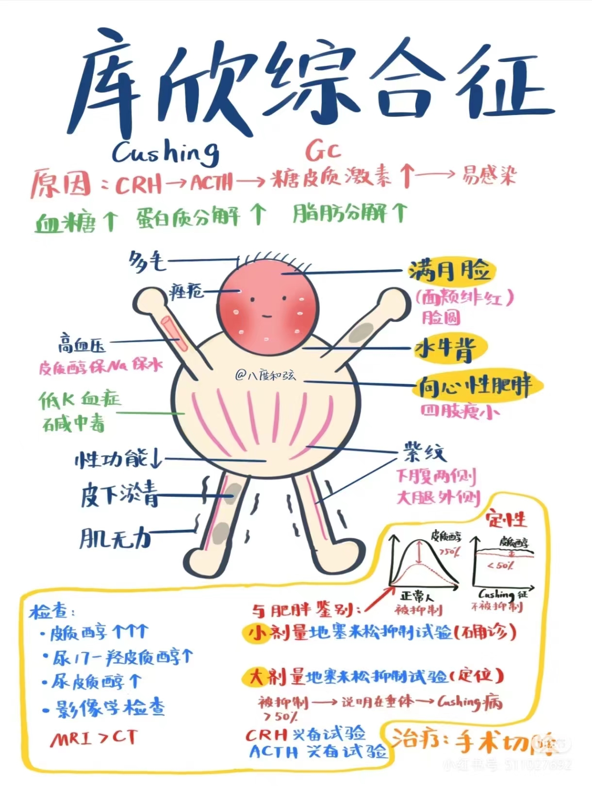 48d30e020fedbb49cb20a2b7a44df3a.jpg